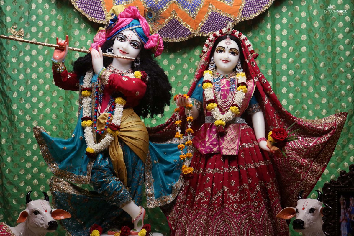 ISKCONPune's tweet photo. 🌷Mangal Arati Darshan🌷🗓20/07/2025🙏 🚩@ISKCONNVCCPune🚩
.
.
#ISKCON #ISKCONNVCC #ISKCONNVCCPune #ISKCONPune
#20thjuly #20thjuly2025 #Sunday #Vrindavan
#Harinaamsankirtan #Radheshyamdas #Radheradhe
#Sankirtan #Kirtan #Mayapur #Prabhupada #iskconmandir
#GVE #GovardhanEcoVillage https://t.co/yOoPyUUZd5