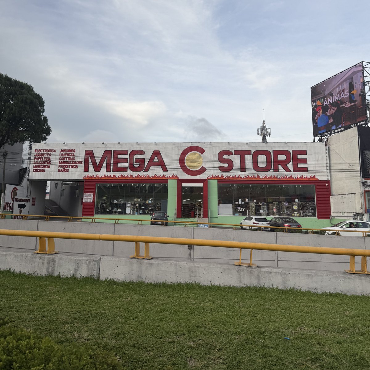 danbajal's tweet image. Fui a la mega store y todos me conocian y me aplaudieron