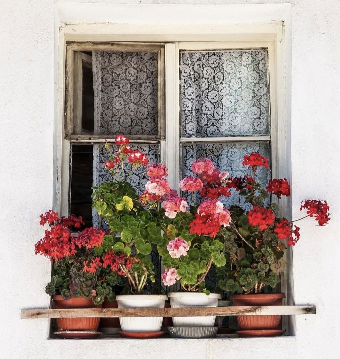 Belki de bir umuttur #günaydın demek 
bir dilektir.
Kim bilir belki de bir #özlemdir güzel günlere 
Belki bir bekleyiştir kapımızı çalıp içeri girecek #aydınlığa 

#günaydın güzel ve aydın günlerin umuduyla