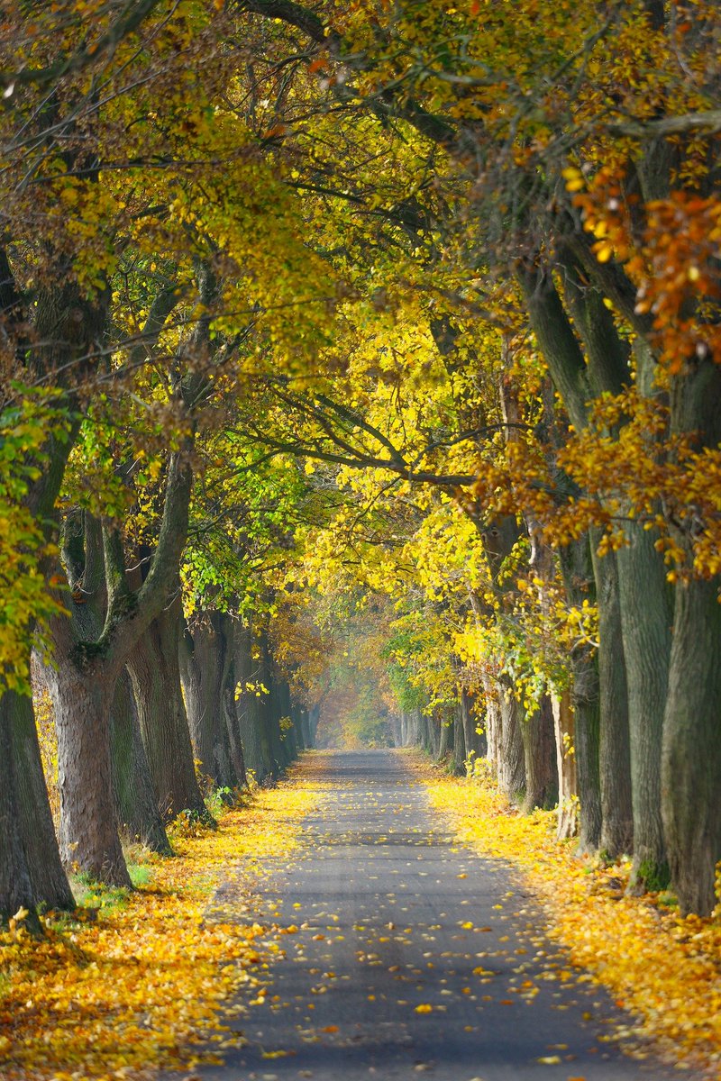 Relaxing!
#nature
