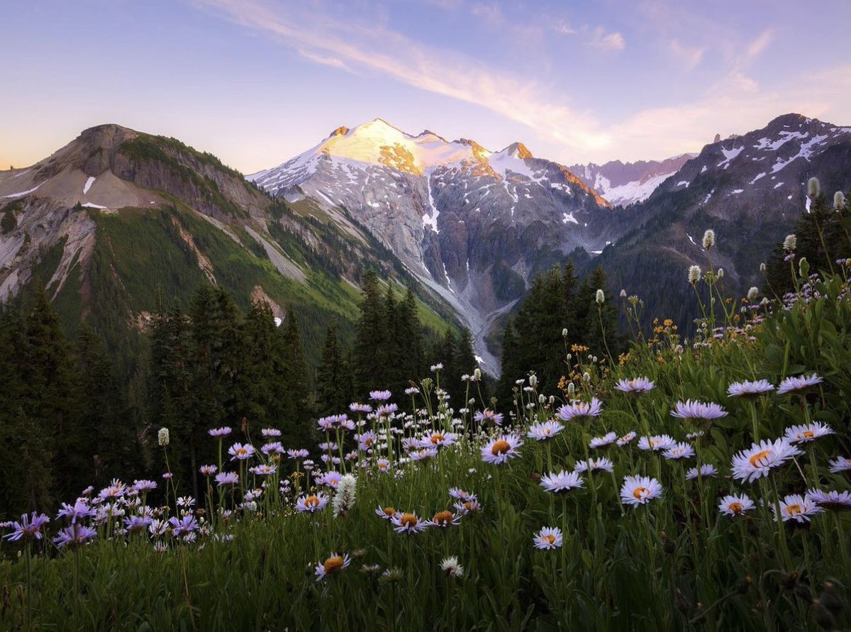 AdamBuschbacher's tweet image. The climb tests you. The view rewards you.
