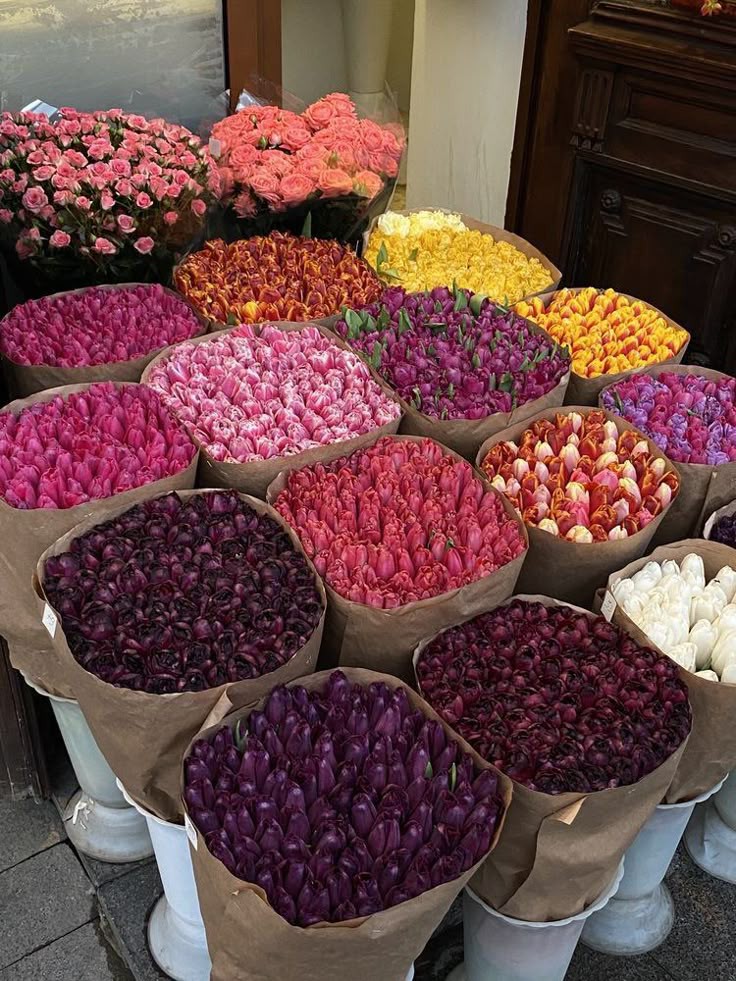 tutututututulip's tweet image. Which one you like it