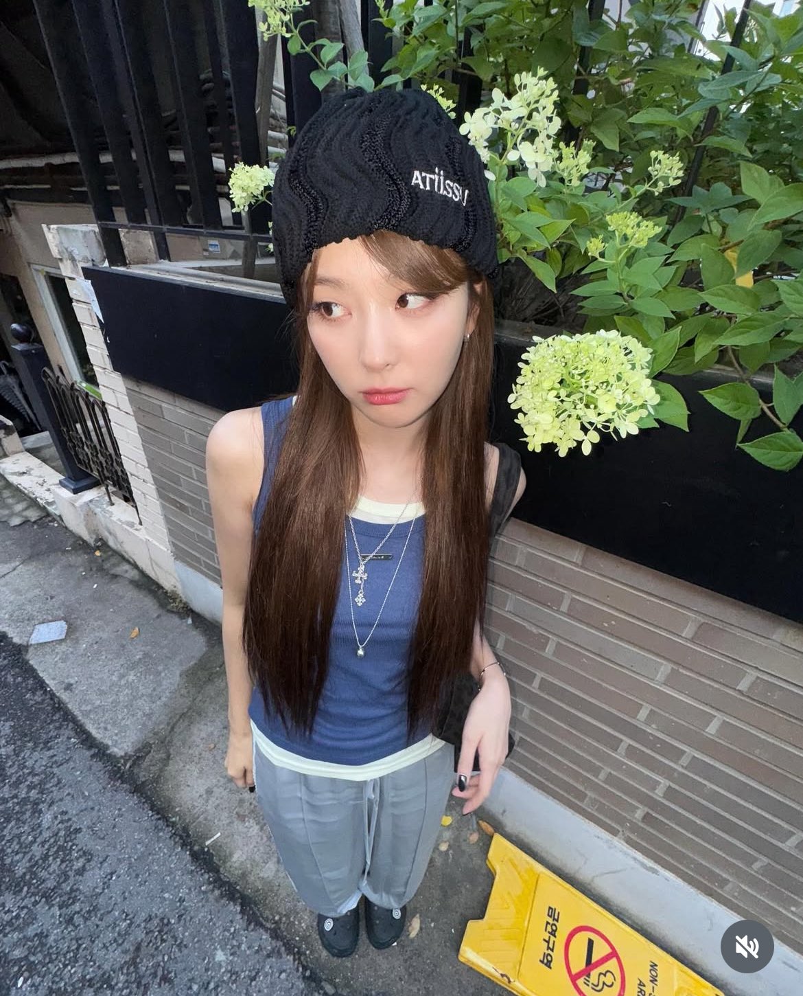 ふくちゃん ふくちゃん🌰SMT8/10 on X: 
