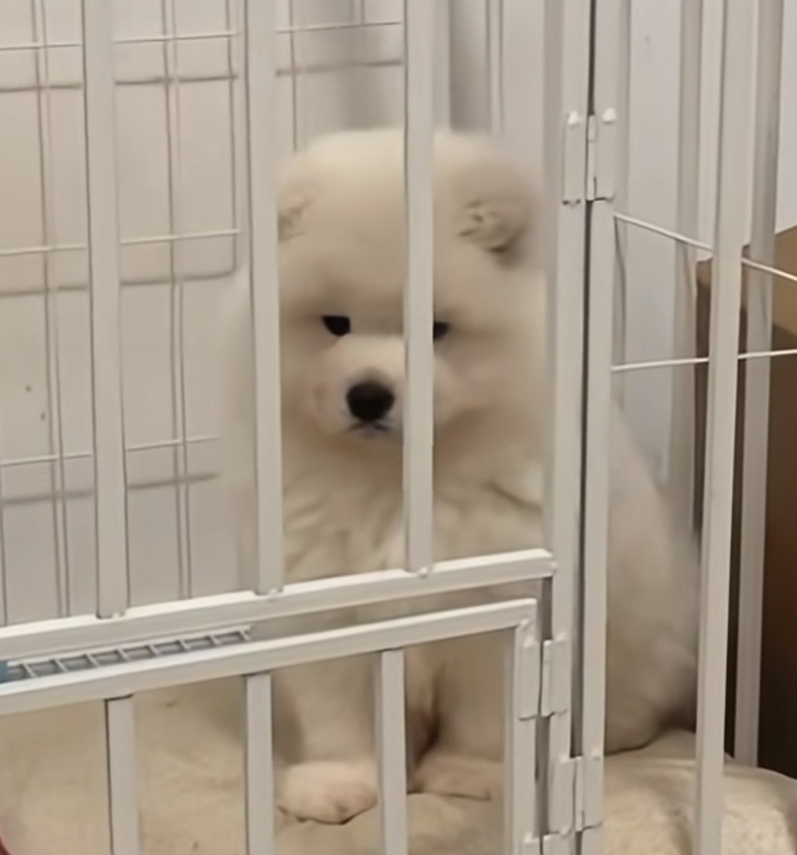 เรียกแต่อ้วมก้อย่ามากอด แล้ว กัน