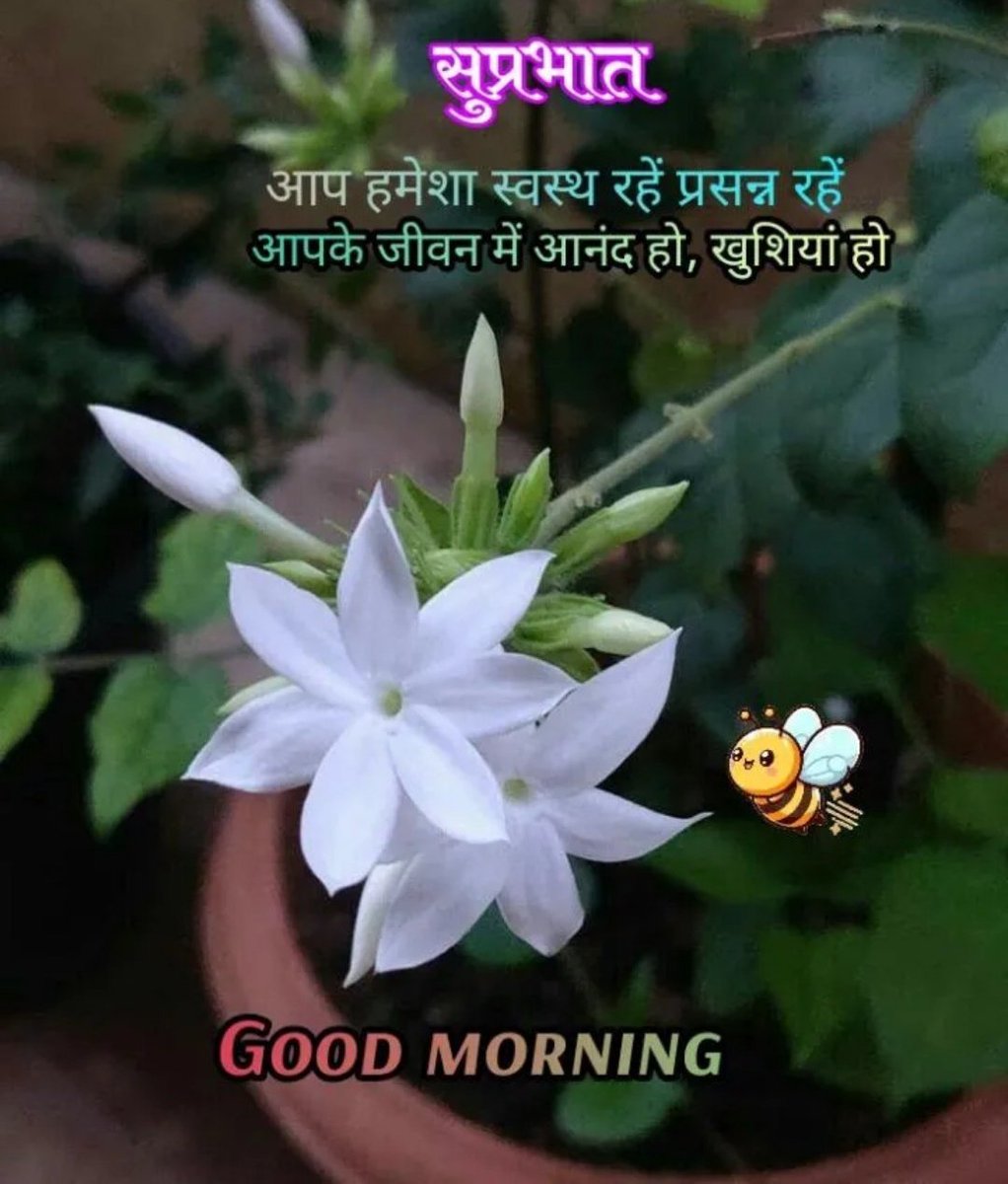 Sapna (@sapnajoshi122) on Twitter photo 