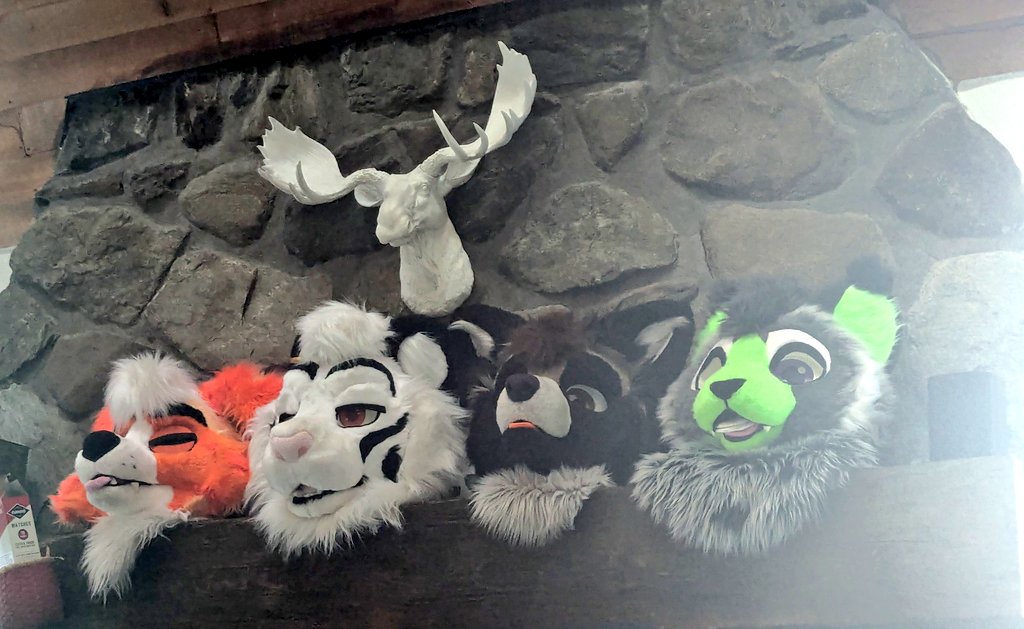 KingAkkord's tweet image. we fuct up tha ski lodge booking we at Stowe in the summer ๐ญ๐๐ฅ