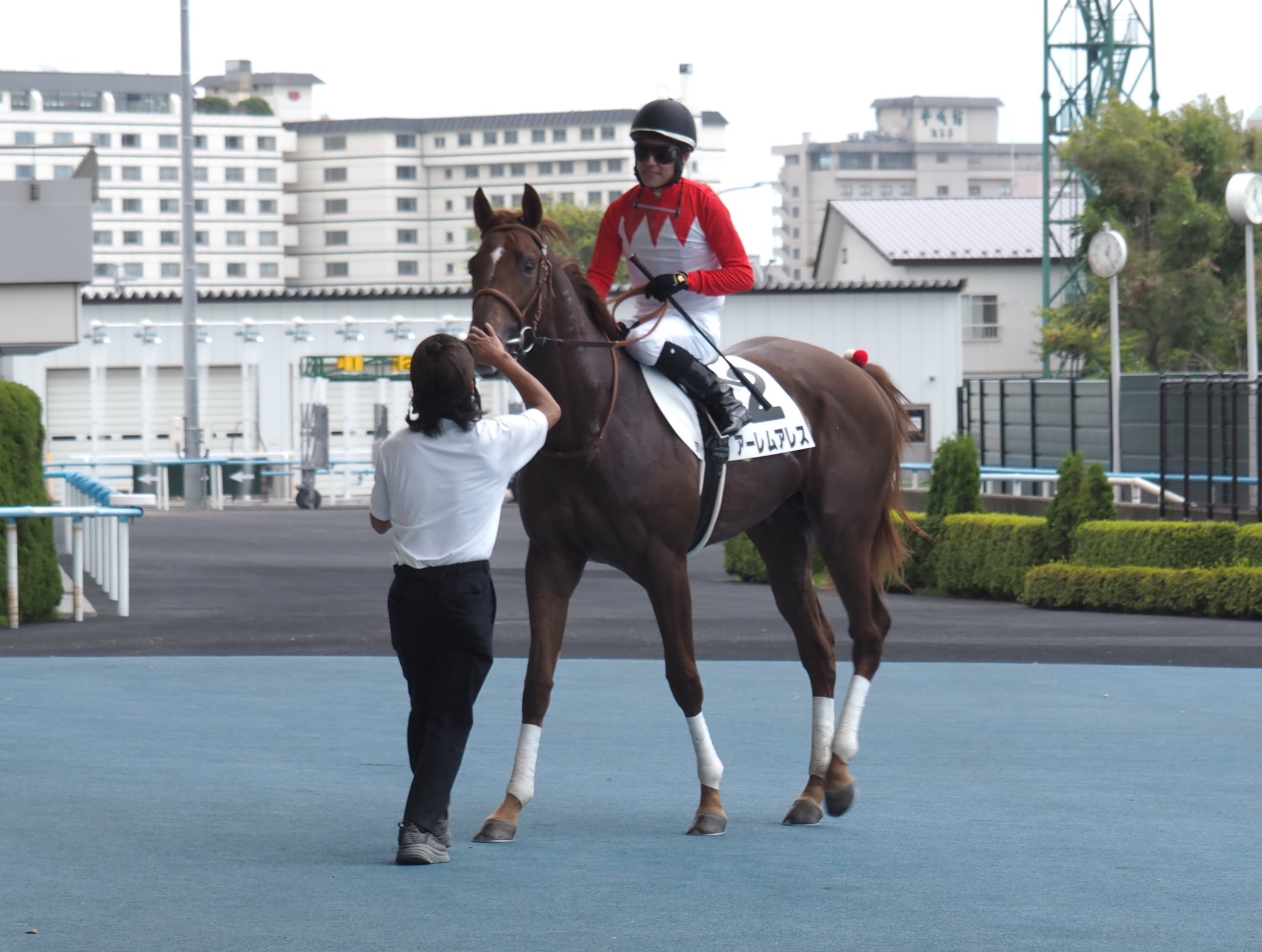 木津信之（日刊ゲンダイ競馬🏇） on X: 