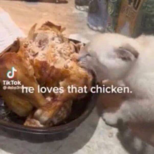 dreamofwntr's tweet image. SHE LOVE THAT DAMN CHICKEN 😭
