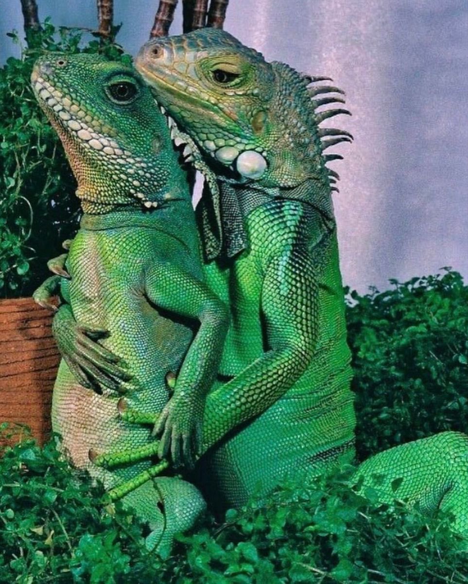 tagyourwho's tweet image. 