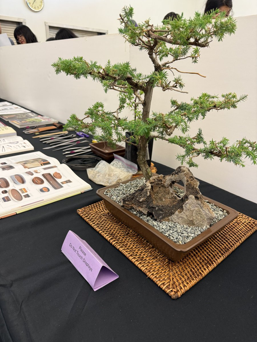 techbubble's tweet image. Had a nice afternoon at the Japanese Obon festival at our local Buddhist Temple. βΈοΈ
Played Bingo and really lucked out! Won four times including the grand prize of two 49ers π tickets! ποΈ ποΈ