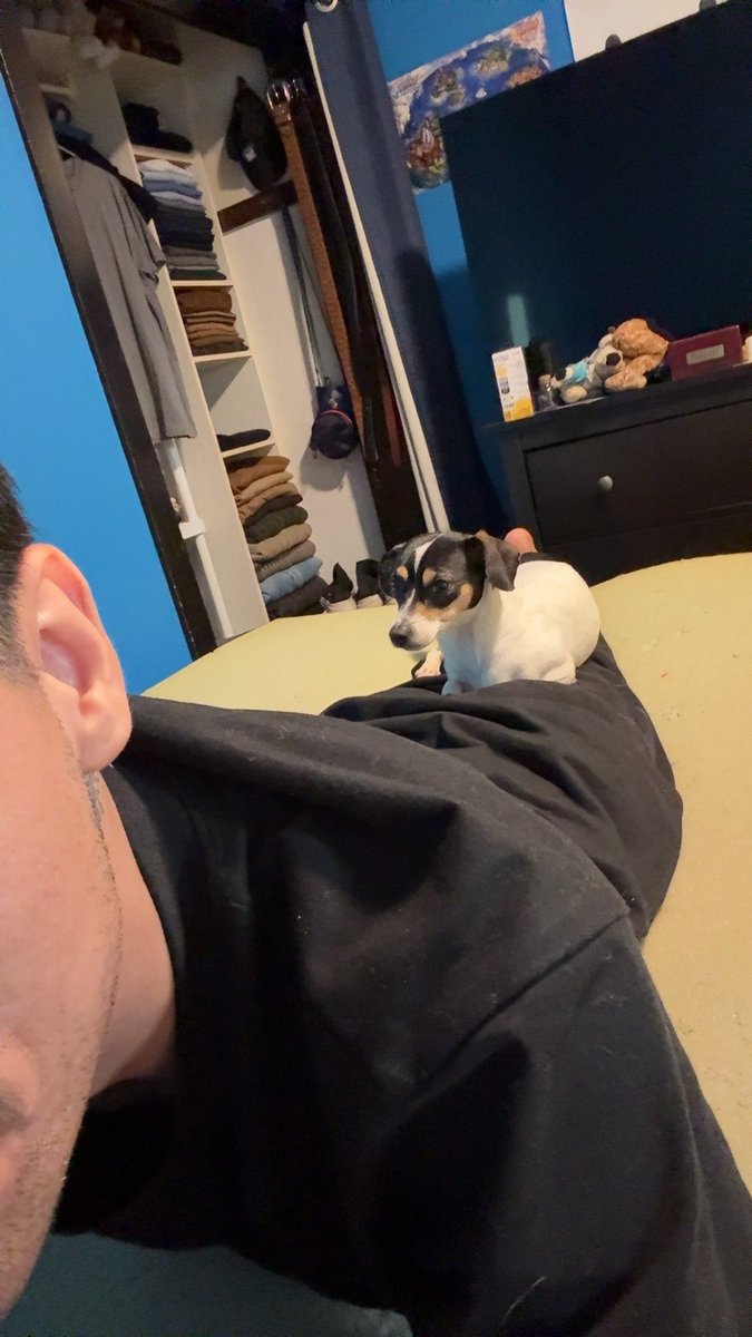 Fer06_'s tweet image. after giving her away to the neighbors she’s finally back.