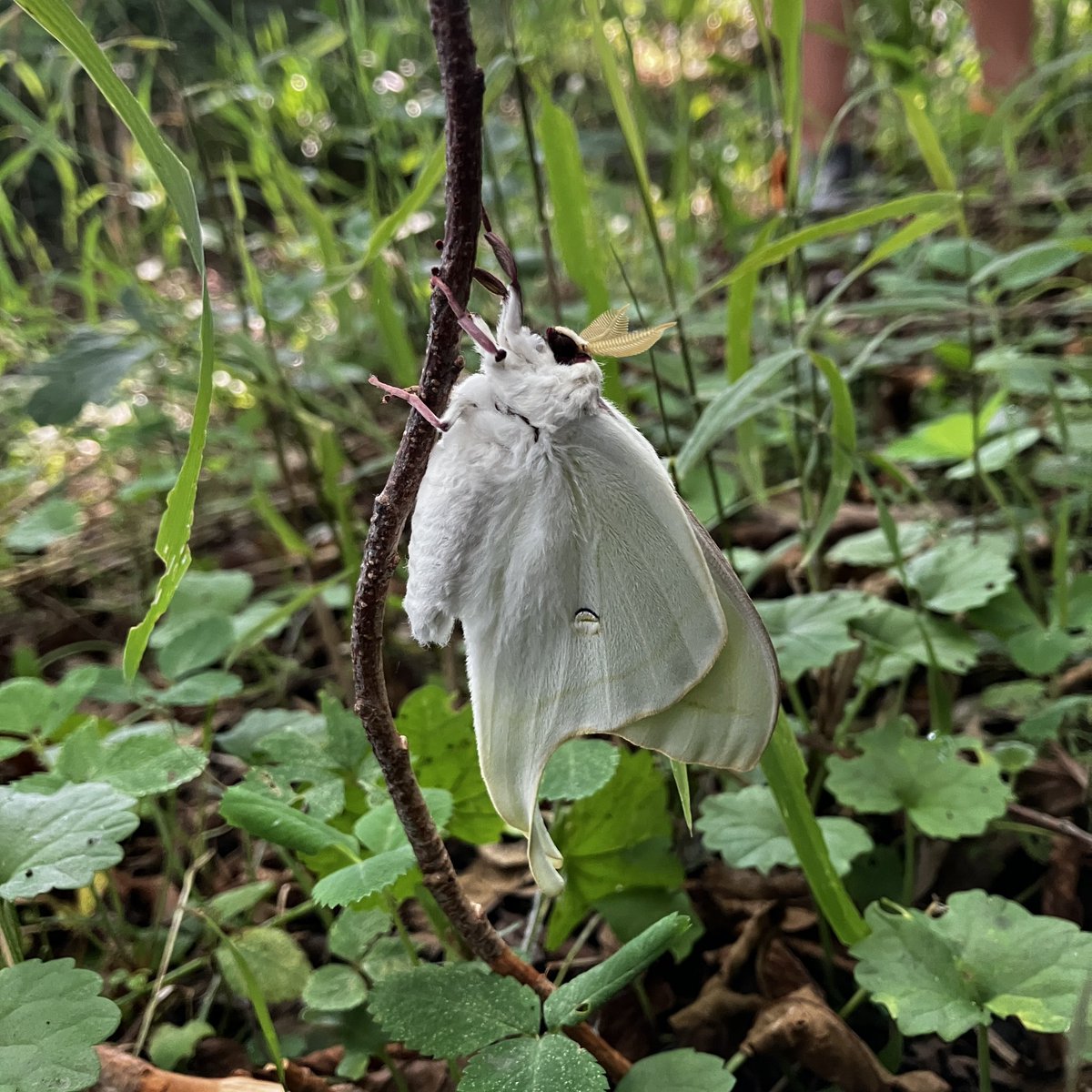 yuya.cockroach tweet media