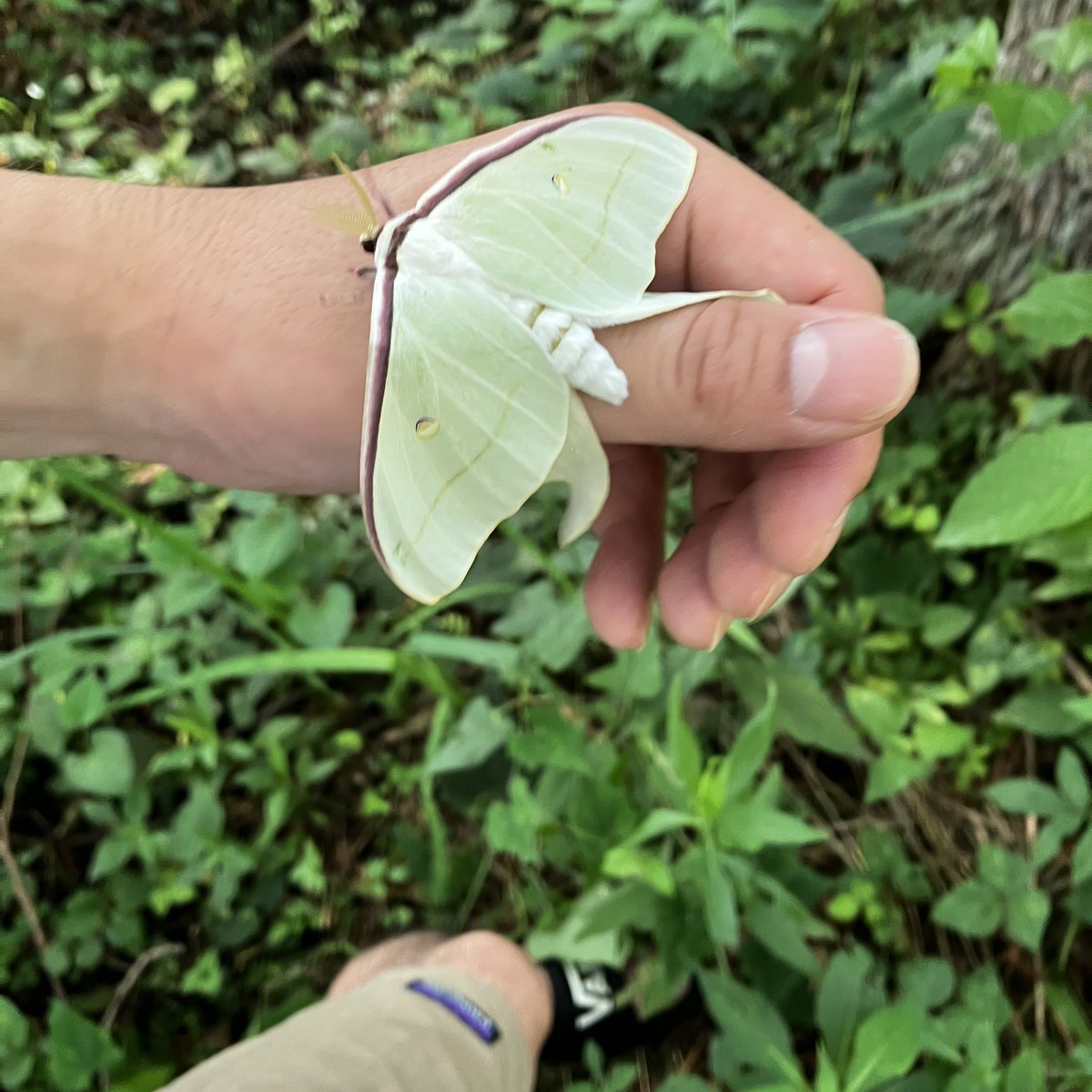 yuya.cockroach tweet media