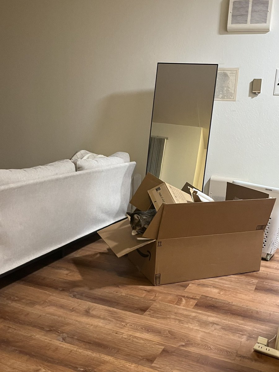 Mungbeanster's tweet image. bean gives the vacuum a -10/10 but the box it came in a 1000/10