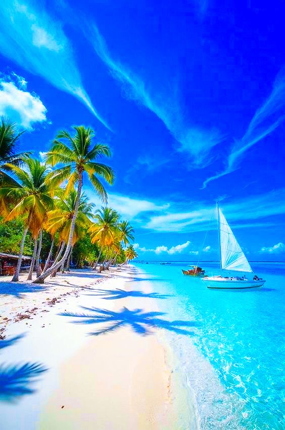 Lina (@magical_views01) on Twitter photo 