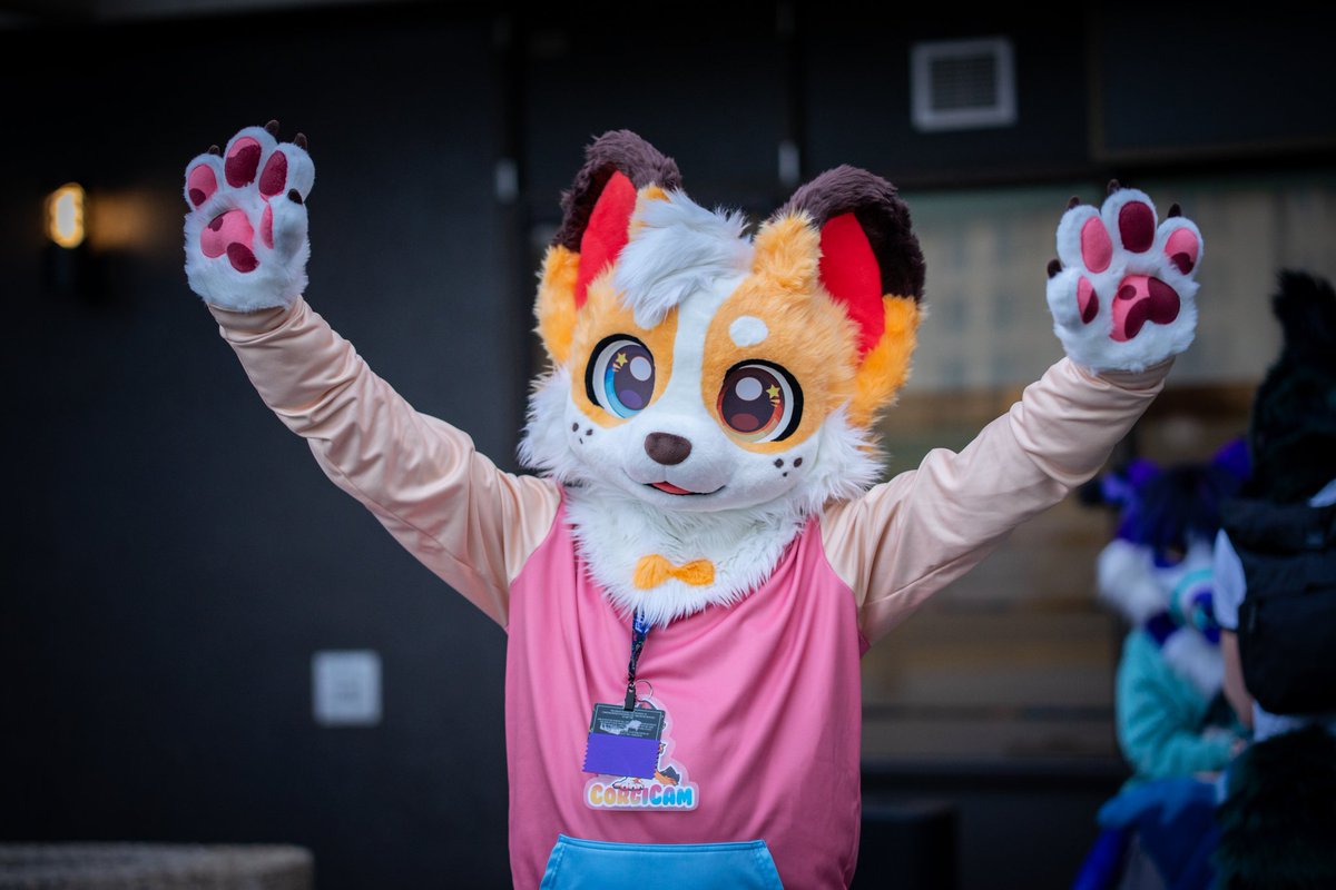 I'll be in fursuit at the Wyndham!
If you see me say hi!

📸 Pic by <a href="/Raydarbat/">Raydar</a>