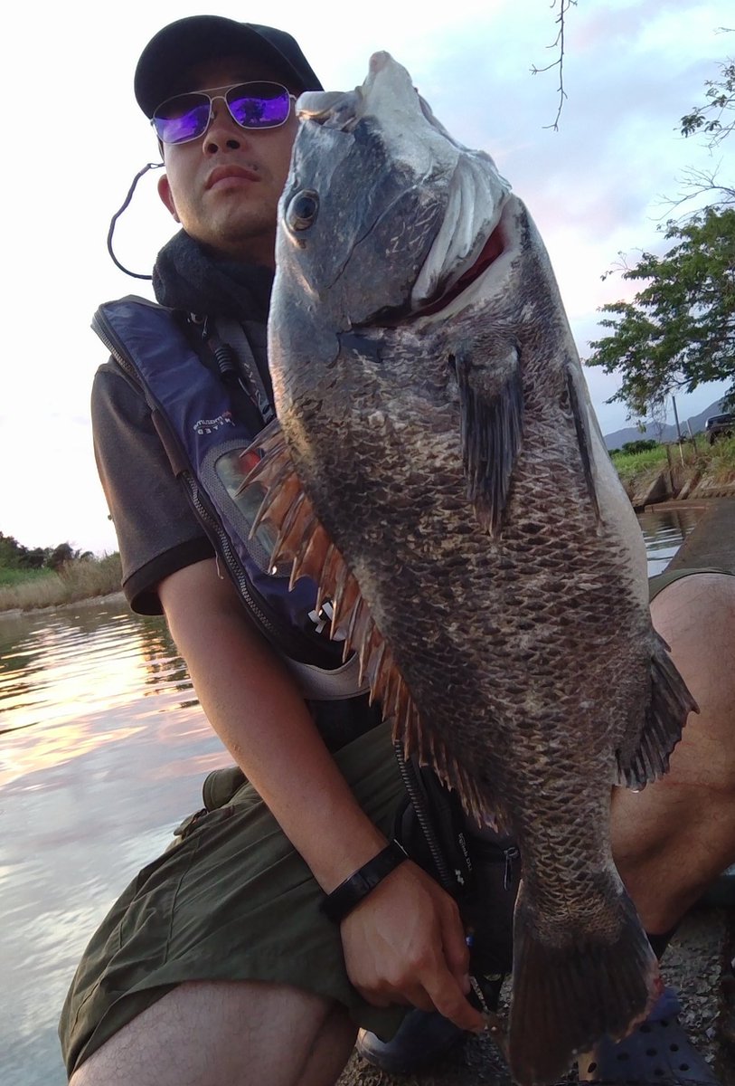 ozaki_garyu's tweet photo. 俺の夏休み2日目最終日 佐渡
クロダイ48cm!自己記録更新!
サングラス:136glass
ロッド:FIDELITY PLIABLE68
ルアー:メガバス DOG-X Jr. SW
#PR #136glass #136偏光サングラス #シューユウ #眼鏡の聖地鯖江 #FIDELITY #PLIABLE68 #メガバス #ドッグXjrSW #新潟県 #佐渡島 #クロダイ https://t.co/Wu9C2MVTGf