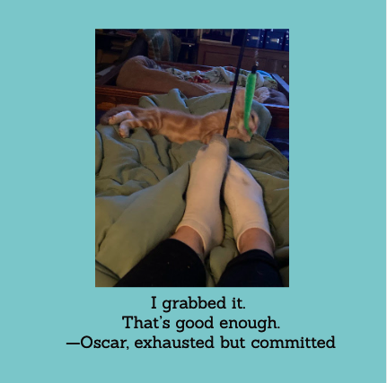 We’re emotionally prepared to play… but our energy level is currently depleted.

#TooTiredToPlay #catlife