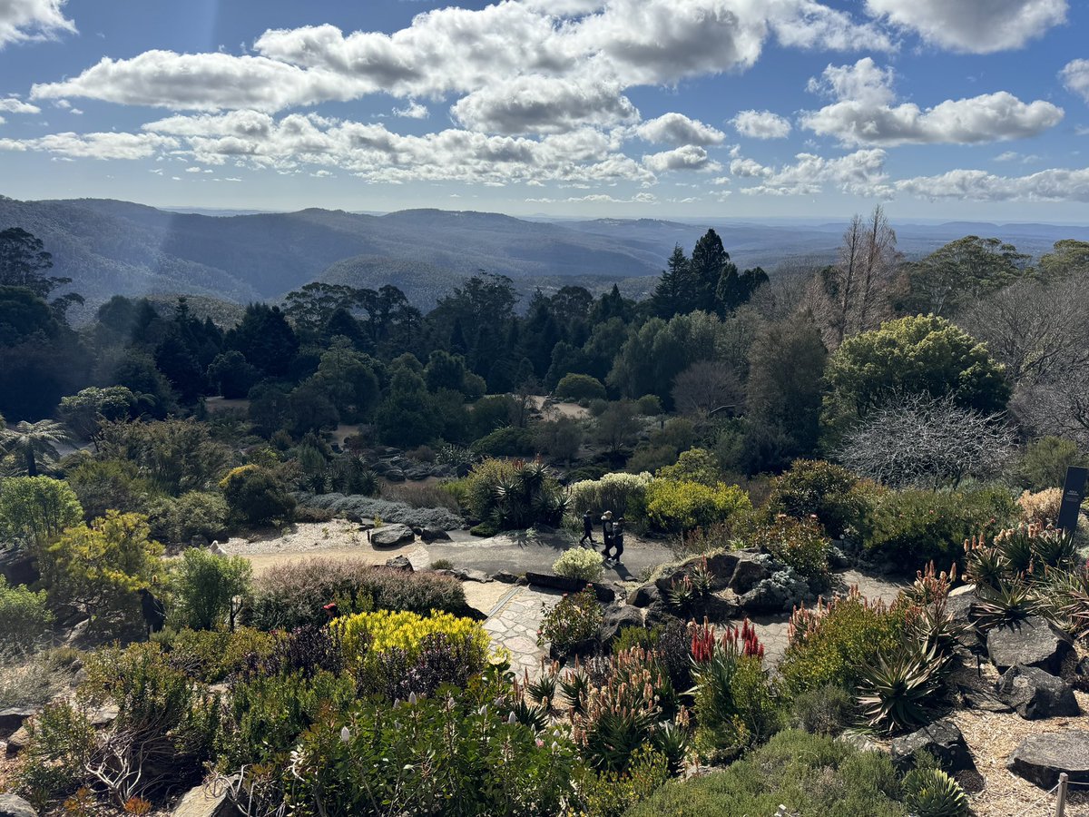 ihaveabluehat's tweet image. We had a lovely time at the Blue Mountains Botanic Gardens!