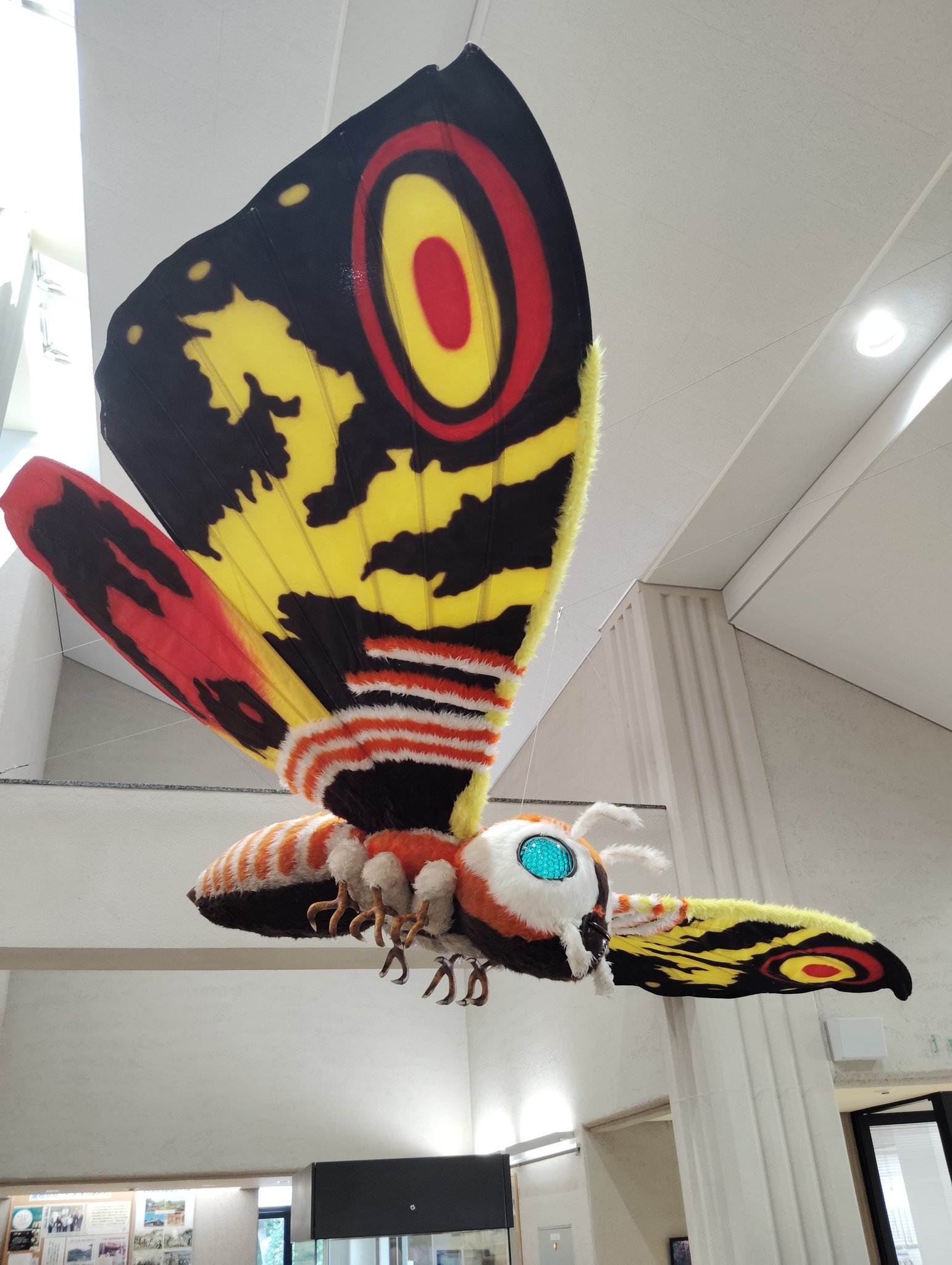 「怪獣秘蔵写真集 造形師村瀬継蔵」【初版帯付き】【美品】 Amazon.co.jp: 怪獣秘蔵写真集 造形師村瀬継蔵 : 村瀬 継蔵: 本