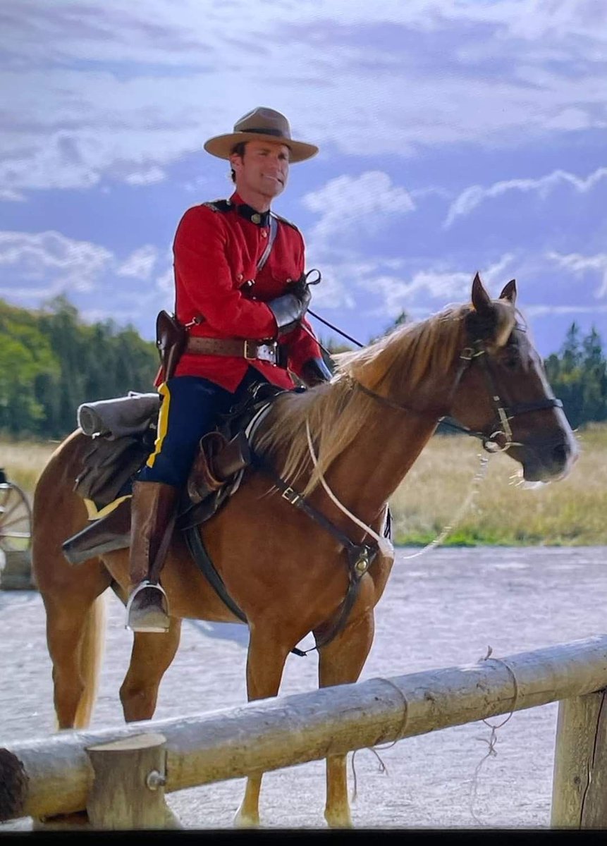 Kelvin Macgarry tweet media