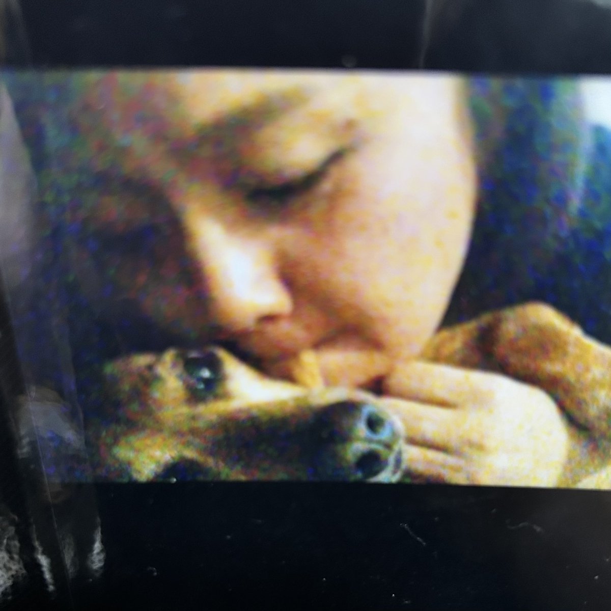 buncho_honey's tweet image. 7年前にあちらへ行った
愛犬の
コスモス姉さんとアタス。
アルバム出てきて断捨離がすすまねぇ。
でかいミニチュアダックスだったコスモス姉さん。
公園で柴犬に喧嘩売られて
フルボッコにしてたコスモス姉さん。
猫が死ぬほど怖かったコスモス姉さん。
面白い女だったぜぇ。
#スムースダックス