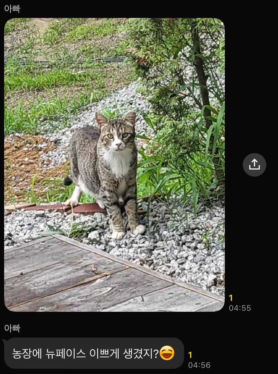 농장에 새 식구가 들어왔나보다