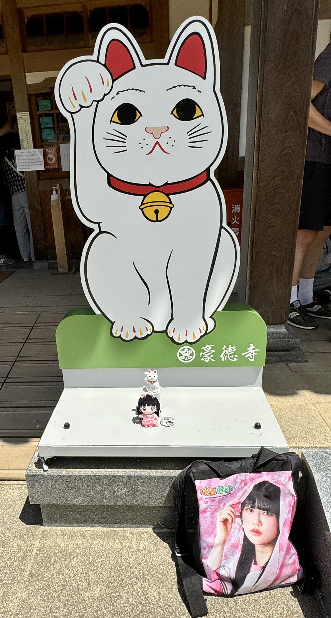 やっさんねこ on X: 