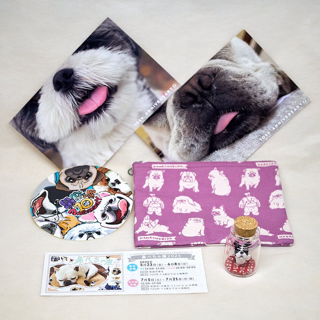 kobito_penguin's tweet image. 【ペンぎょ展2025】東京会期〜7/21(月)まで
昨日は名古屋で開催中の #鼻ぺちゃ展 に行ってきました!
@ABCDOGS_tensh さまのわんこさん可愛い💕
鼻ぺちゃ展も7/21までです。来週からこちらでペンぎょ展が始まりますよ〜🐧✨
tgs.jp.net/event/pengyo/
#ペンぎょ展
#ペンぎょ展2025
#ペンギン