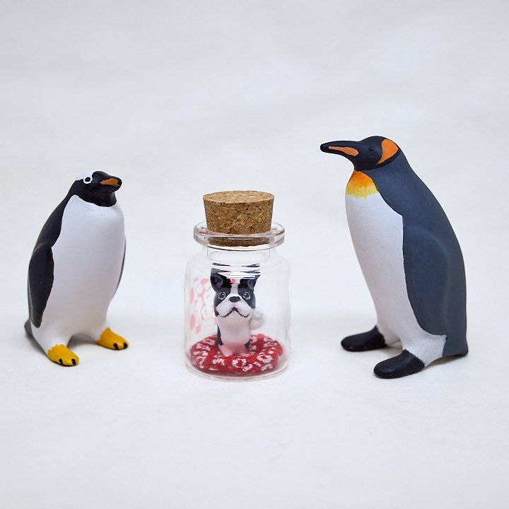 kobito_penguin's tweet image. 【ペンぎょ展2025】東京会期〜7/21(月)まで
昨日は名古屋で開催中の #鼻ぺちゃ展 に行ってきました!
@ABCDOGS_tensh さまのわんこさん可愛い💕
鼻ぺちゃ展も7/21までです。来週からこちらでペンぎょ展が始まりますよ〜🐧✨
tgs.jp.net/event/pengyo/
#ペンぎょ展
#ペンぎょ展2025
#ペンギン