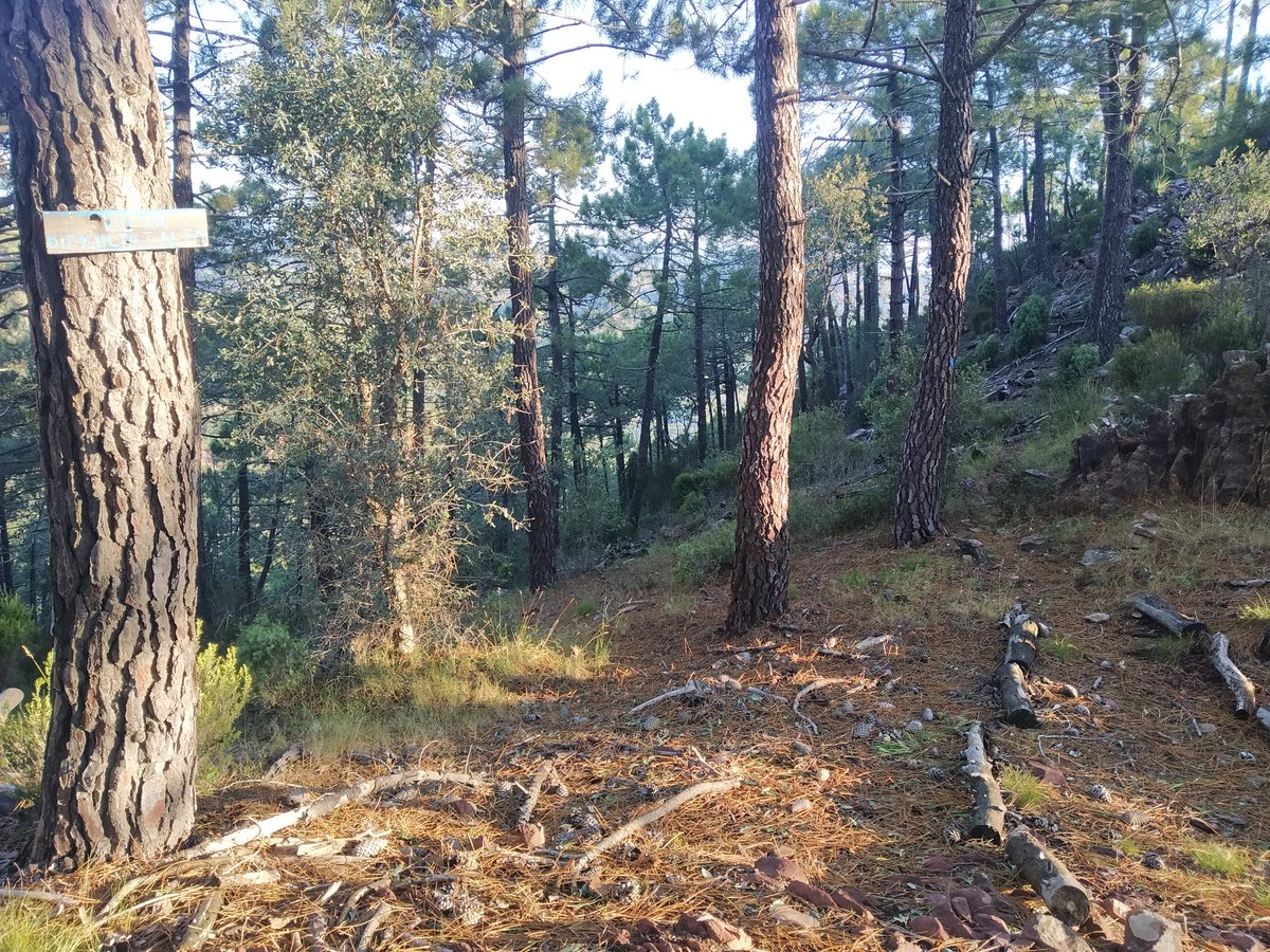 Els Castellets de #Artana 
<a href="/Basseta/">Basseta</a> <a href="/Haarp_project/">Haarp_project</a> <a href="/JrvLionel/">JuanRa Varelles🍊</a> <a href="/javix/">Javi López</a> <a href="/MuntanyaV/">Muntanya Valenciana</a> <a href="/JuanJCarrasco/">JJCarrasco 🍀 👣</a> <a href="/PaisRutes/">Rutes del País Valencià</a> <a href="/espadaniques/">Espadànics escaldats🦎</a> <a href="/badenes/">Pedro Badenes</a>