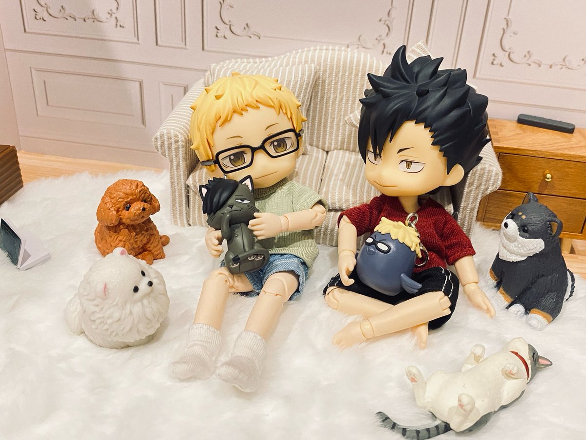 動物に囲まれている🐈‍⬛🌙

#クロ月 #kurotsuki