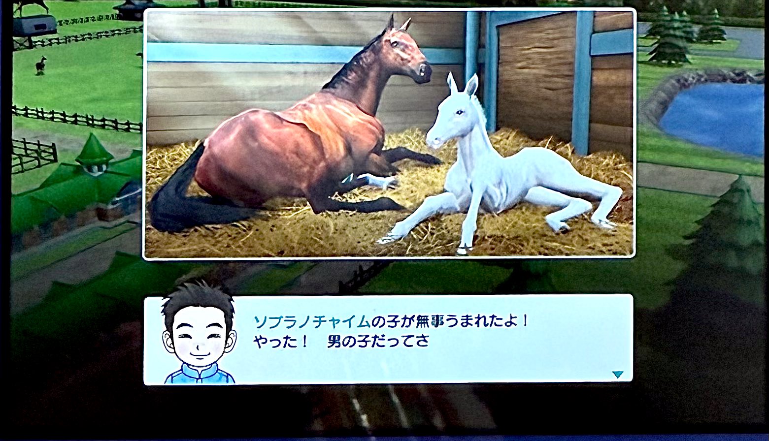 ダービースタリオン2〈神馬誕生〉　＠13 71dOoquBINS._SY200_QL15_.jpg