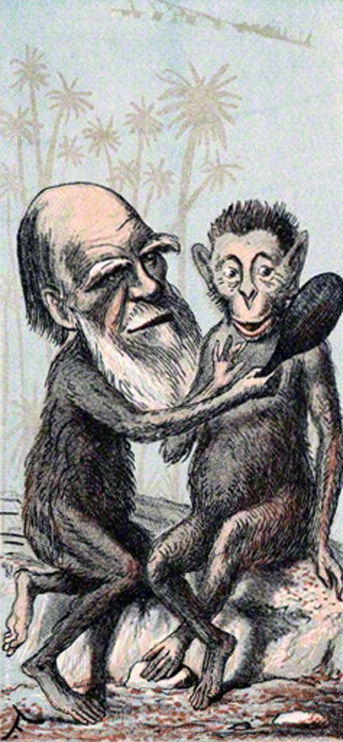Auditcleve's tweet photo. Sure🧐
This is the act of #Aping🇬🇧🦧🇮🇱
Here is a #British #Subhuman doing some of it on a tree🇬🇧🐒🏴
They started in trees way before secret meeting rooms.
It must be noted that this phenomena was unique to #British🇬🇧🦵🏴 at the beginning but now it has spread like wild fire🔥👻🔥, White Apes & Monkeys everywhere🦧🐒🦍
From the Caves of the Coccus mountains to South Africa, from America to China, this #British #Ape is nothing but a #CommonProblem🇬🇧👻🏴
#Soft #Racist #Pigs @CPSUK do you agree with my analysis ⚖️🧐 ⚖️
Real #talk🗣no circus like #British courts⚖️🤹♀️⚖️