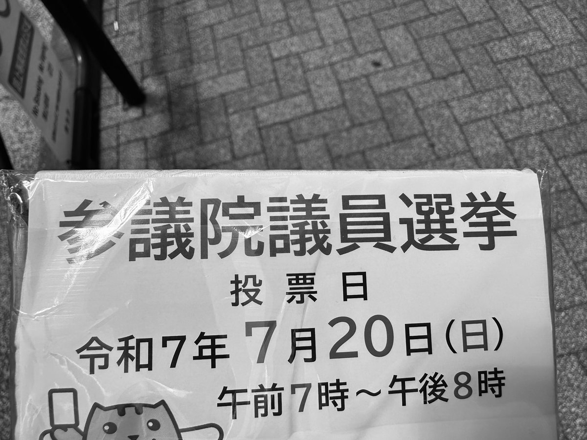 SeijiKyono's tweet image. 🫡🗳️