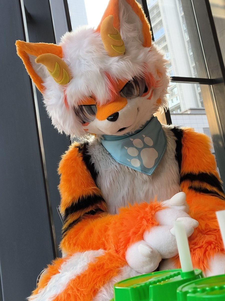 清纯嘉嘉 tweet media