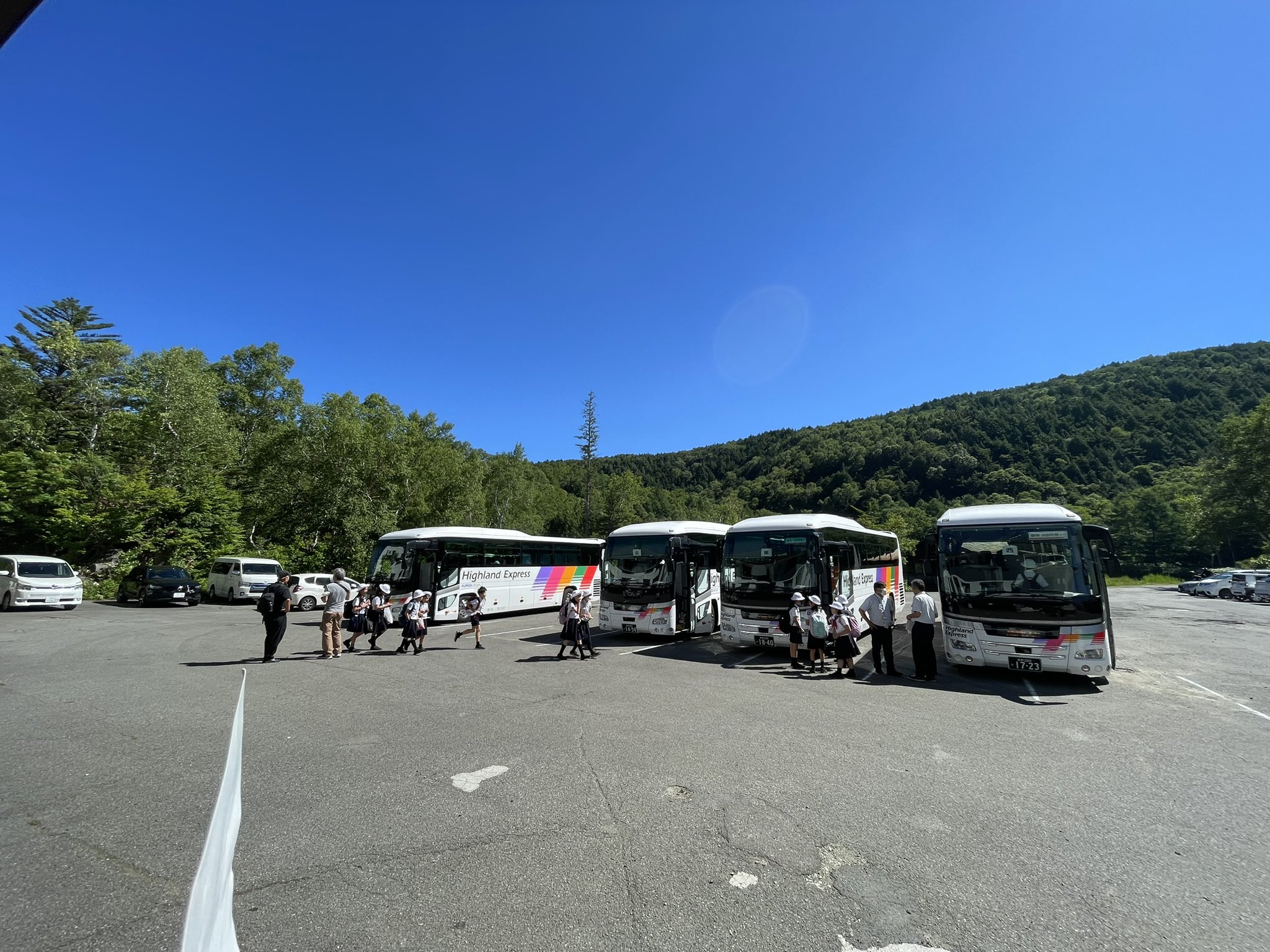 ジャックJAC 成蹊小学校 年長夏期講習後期 夏総復習宿題ペーパー24枚全て＋α 2024年度 ジャック幼児教育研究所 成蹊小学校 夏期講習会フル