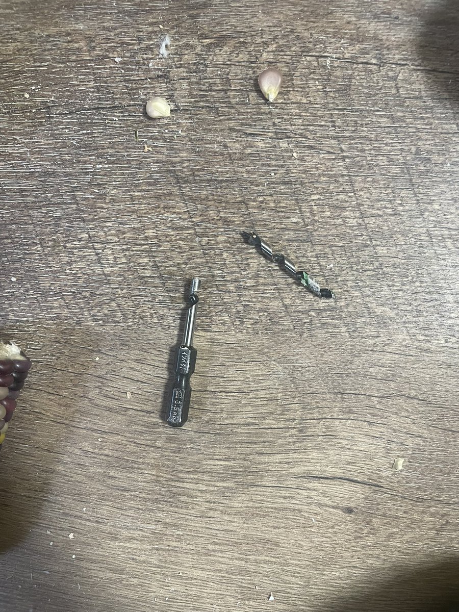 N1zUYkGTAVJij1v's tweet image. コーン🌽カットして、穴開けして、ドリルの歯を
２本折って・・
メリーの制作までには　　程遠いですね🥹
