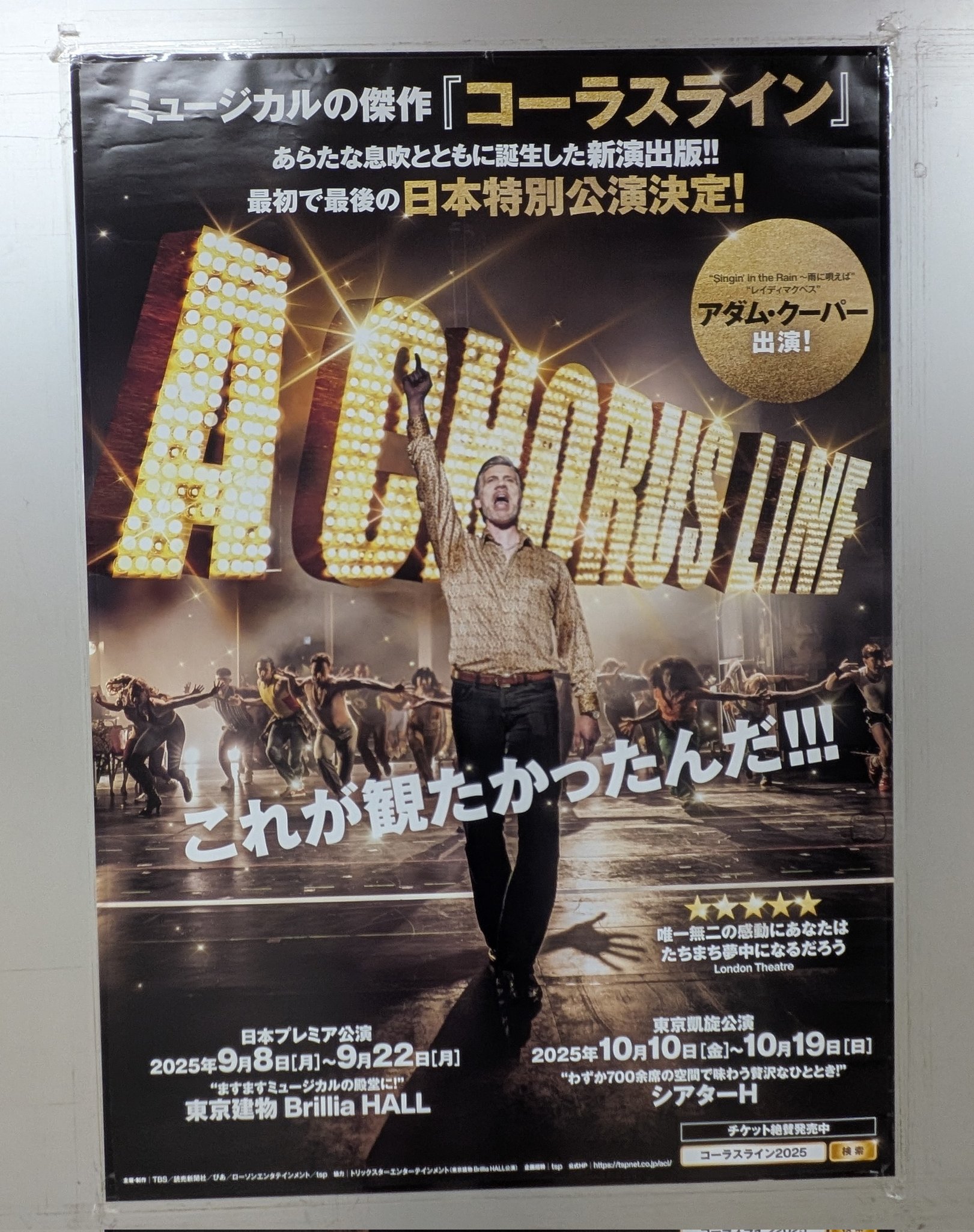 H.K&A☂️9/4岐阜長良川、9/6-7神戸ヨルシカ、9/19名古屋 神宮は