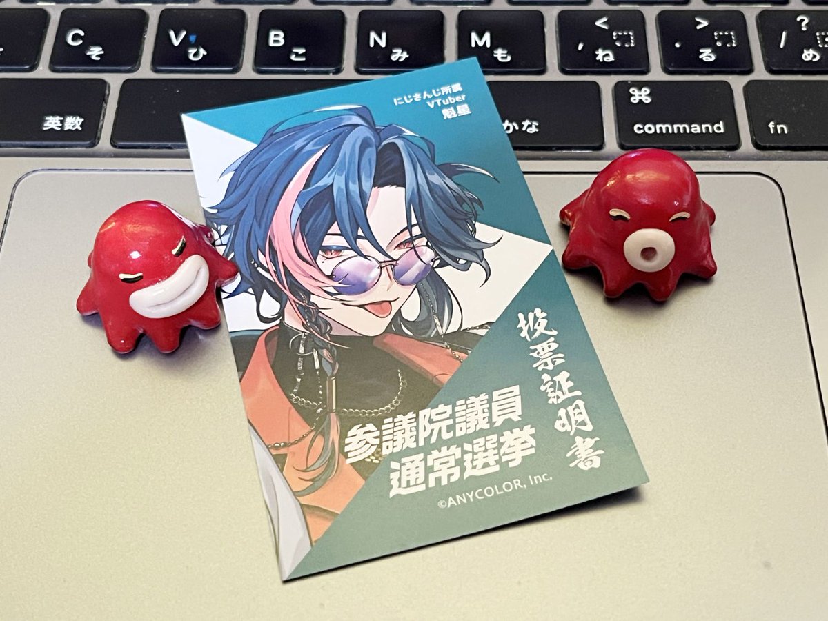 TakoMASARU's tweet image. この投票証明書、誰だ?
Vtuber らしいけど、横浜にゆかりのある人なんだろうか?
そんなこんなで、どこに入れたのかは敢えて言わない。息子ともお互いどこに入れたか知らない。妻ともそうだった。
あくまでも無記名投票だから。もちろん、公表したい人はすれば良いし、したくない人はしなくて良い。