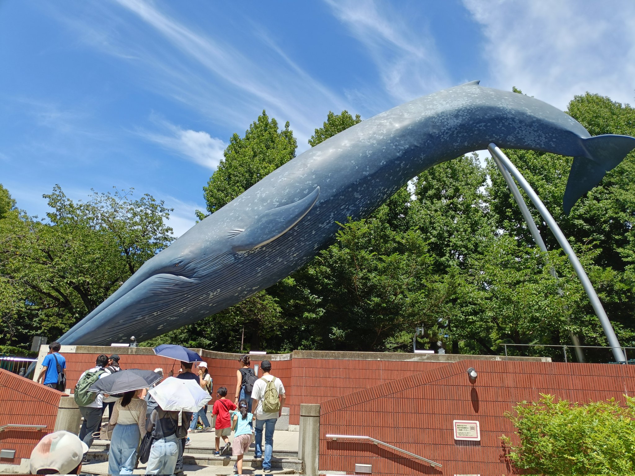 『クジラ乗り場はこちらです』 くじらタウン | . 【#クジラスポット 】 クジラ専門の博物館『太
