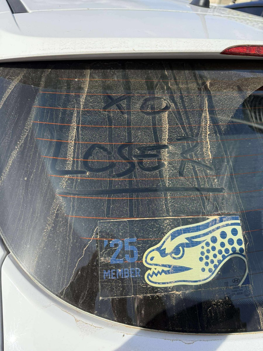 ashleemcinnes's tweet image. Just went out for lunch and got back to my car to see this
(I live in canberra π₯²)