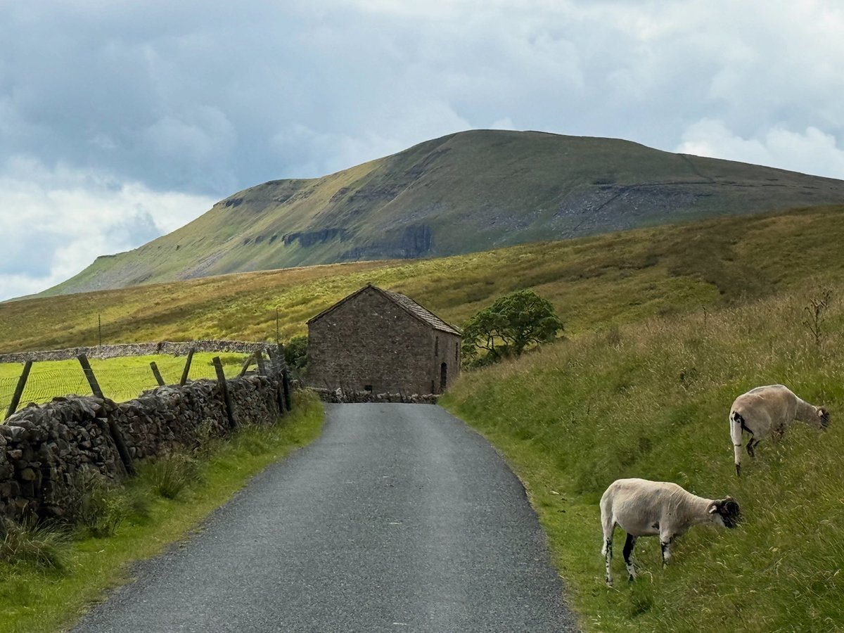 MARKCORNER16's tweet image. Road from Halton Gill to Stainforth, overlooked by Pen y Ghent