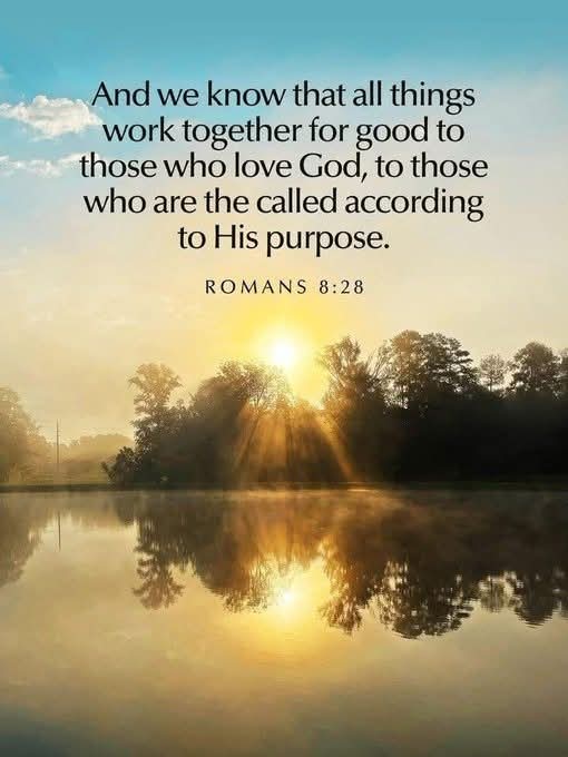 Stewart7Donna's tweet image. All things work together for good to all those who love God.