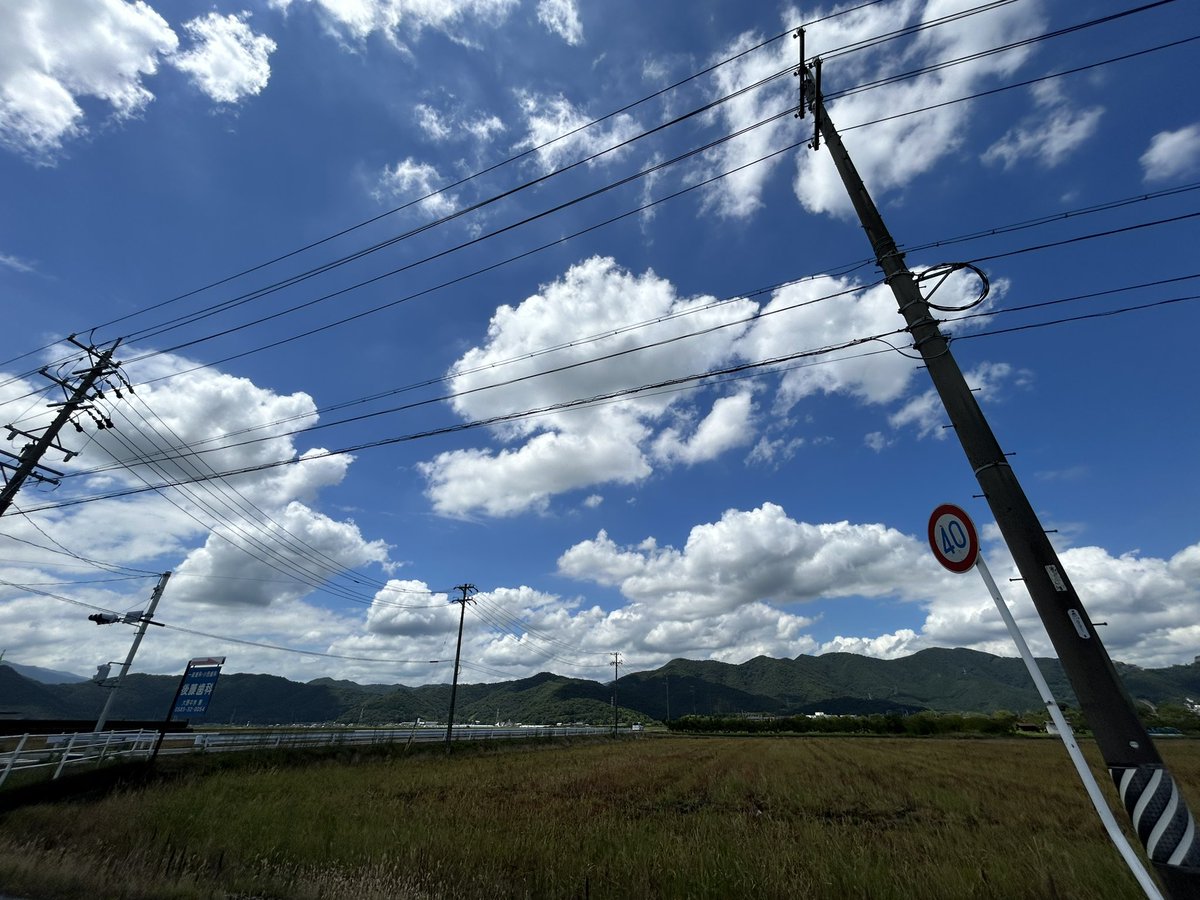 空が青くて
雲もくもくで
蝉がうるさくて
夏最高。
ハロハロ買いたくなっちゃう