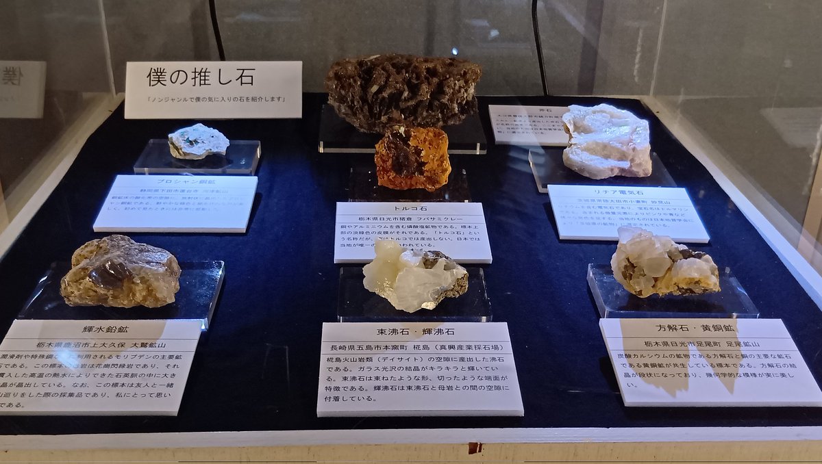 ishitokenji's tweet image. 島本奏汰さんがご両親と共に来館し、『◯◯な石展』の展示が完成しております。
9つのジャンル各々に拘わった展示になっていますので、ぜひじっくりとご覧頂けますようお願い致します🙇