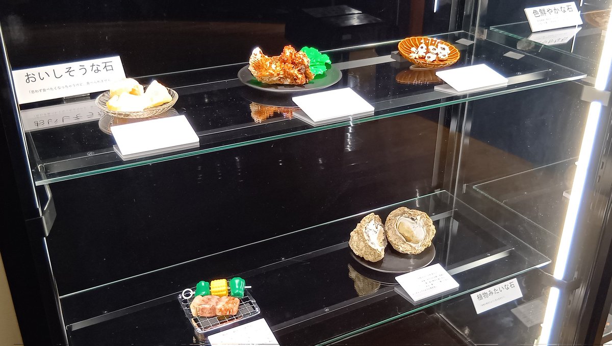 ishitokenji's tweet image. 島本奏汰さんがご両親と共に来館し、『◯◯な石展』の展示が完成しております。
9つのジャンル各々に拘わった展示になっていますので、ぜひじっくりとご覧頂けますようお願い致します🙇