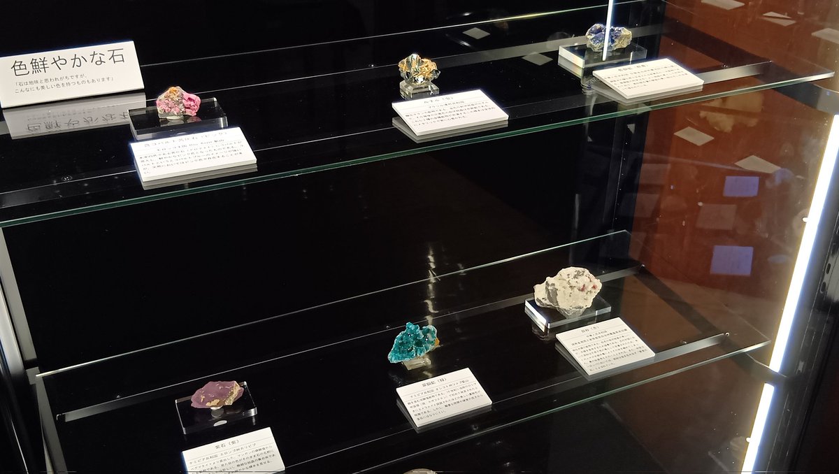 ishitokenji's tweet image. 島本奏汰さんがご両親と共に来館し、『◯◯な石展』の展示が完成しております。
9つのジャンル各々に拘わった展示になっていますので、ぜひじっくりとご覧頂けますようお願い致します🙇