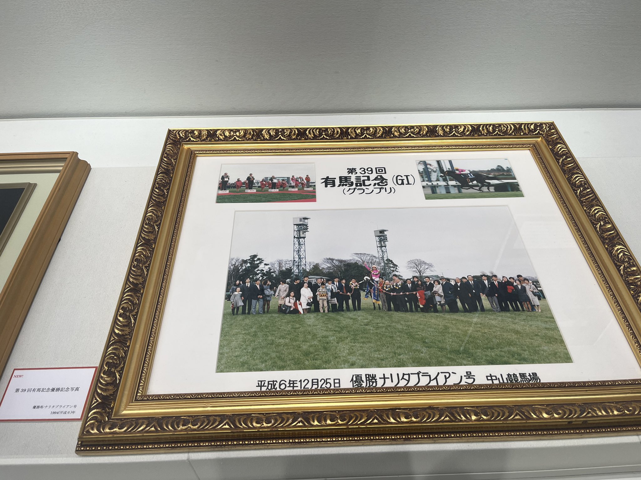 ナリタブライアン　レプリカゼッケン　有馬記念 他 ナリタブライアン【有馬記念1994】 - YouTube