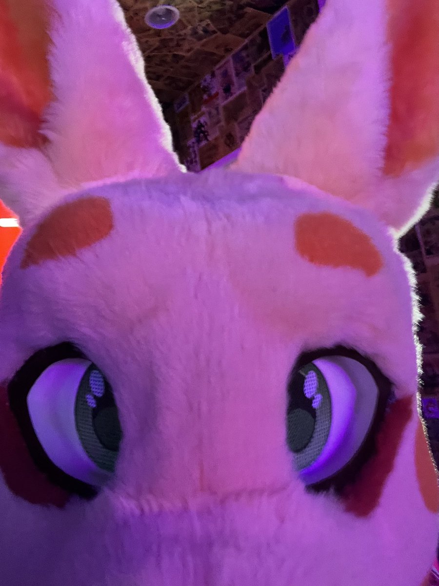 You got games on your phone? 
#furry #fursuit